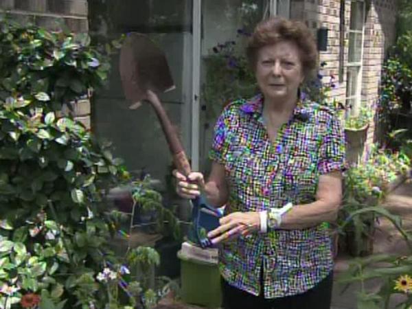 Aberdeen woman, 80, fights fox attack with shovel
