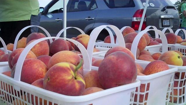 Peaches at the Western Wake Farmers Market