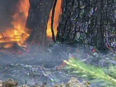 Brush fire burns 31 acres in Durham